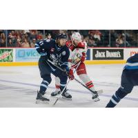 Grand Rapids Griffins battle the Manitoba Moose