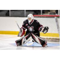 Red Deer Rebels goaltender Taylor Tabashniuk