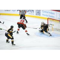 Wheeling Nailers goaltender Sergei Murashov makes a stop against the Indy Fuel