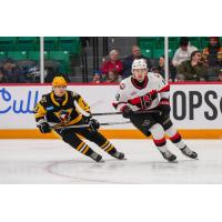 Wilkes-Barre/Scranton Penguins' Vasili Ponomaryov and Belleville Senators' Jake Chiasson on game night