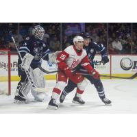 Grand Rapids Griffins' Sheldon Dries on game night