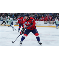 South Carolina Stingrays' Andrew Perrott on game night