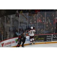 Jonathan Melee of the Peterborough Petes celebrates a goal