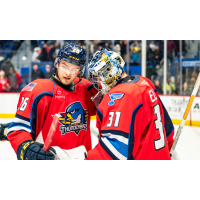 Springfield Thunderbirds forward Simon Robertsson and goaltender Colten Ellis