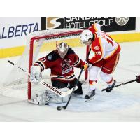 Tucson Roadrunners goaltender Matthew Villalta vs. the Calgary Wranglers