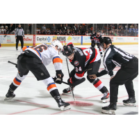 Belleville Senators center Stephen Halliday in the faceoff circle vs. the Lehigh Valley Phantoms