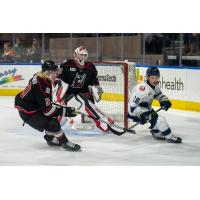 Adirondack Thunder's Savva Smirnov and Jeremy Brodeur versus Worcester Railers' Griffin Loughran