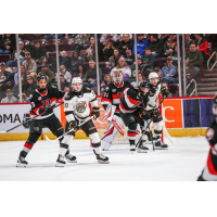 Belleville Senators and Hershey Bears on the ice