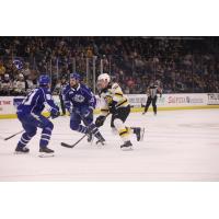 Syracuse Crunch's Derrick Pouliot and Logan Brown vesus Providence Bruins' Patrick Brown