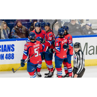 Springfield Thunderbirds on game night