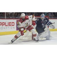 Grand Rapids Griffins forward Austin Watson vs. the Manitoba Moose