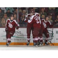 Peterborough Petes celebrate a goal vs. the Saginaw Spirit