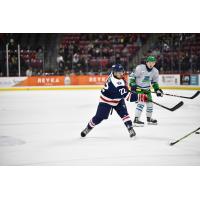 South Carolina Stingrays forward Micah Miller vs. the Florida Everblades