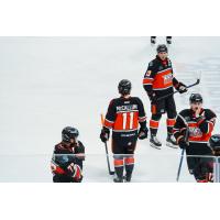 Kansas City Mavericks on the ice