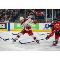 Grand Rapids Griffins right wing Carter Mazur