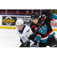 Hiroki Gojsic of the Kelowna Rockets (right) vs. the Victoria Royals