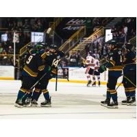 Florida Everblades celebrate win