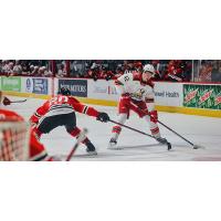 Grand Rapids Griffins left wing Carson Bantle